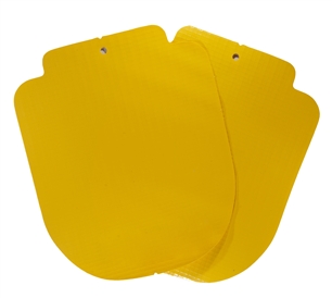 Amarelo ouro Ln		
