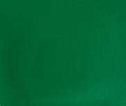 Verde Bandeira PZSD
